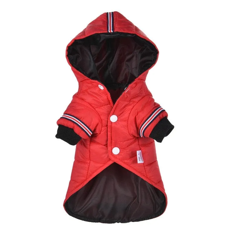 Fashion Puffer Dachshund Jacket