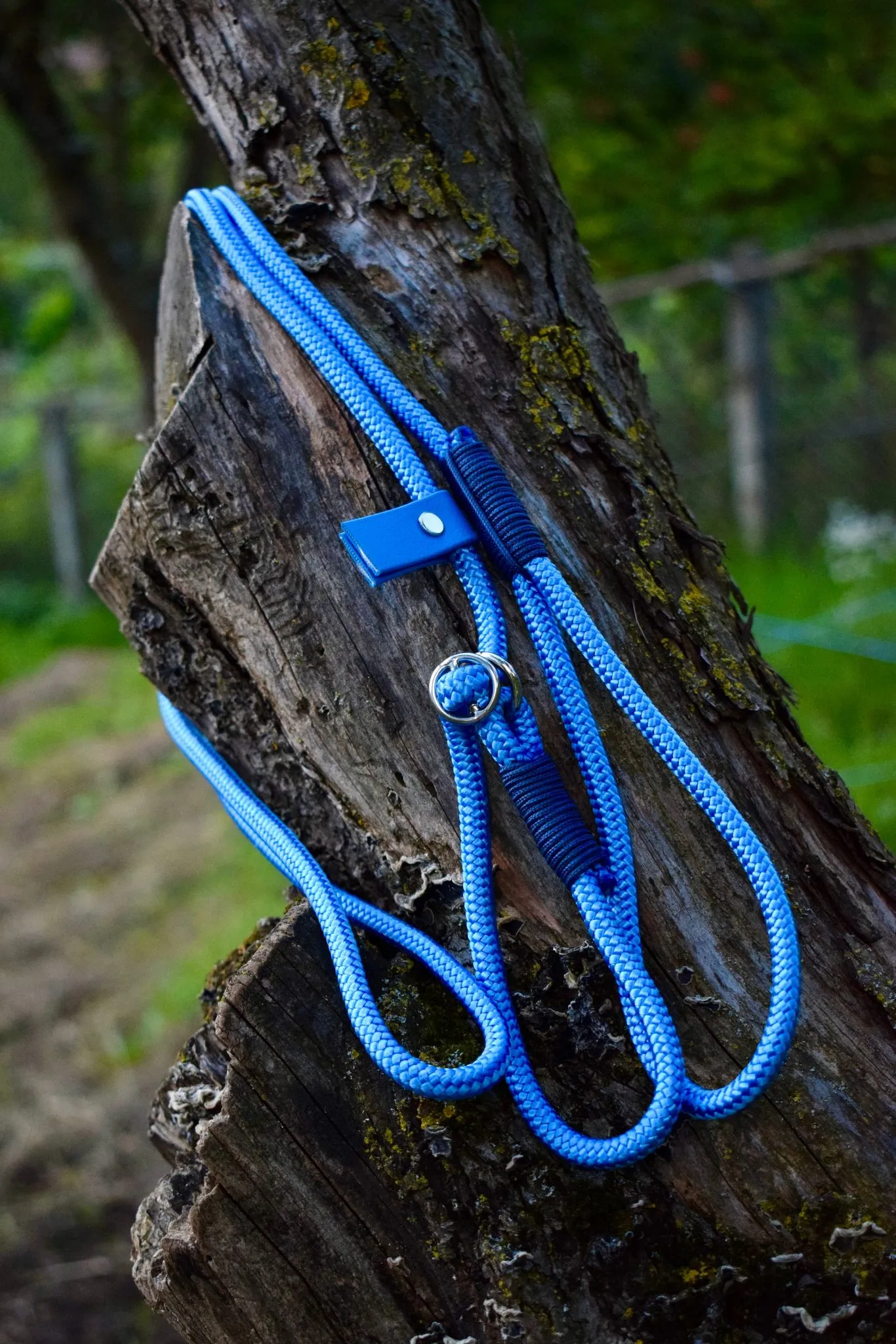 Sky Blue Simple Slip Leash