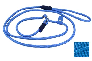 Sky Blue Simple Slip Leash